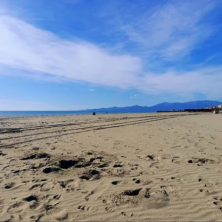 Apartman Joli T3 Climatise A 170m De La Plage, 6 Pers, Parking Inclus - Fr-1-794-167 Canet-en-Roussillon